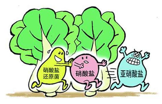 各地防疫措施差异与共性深度解析