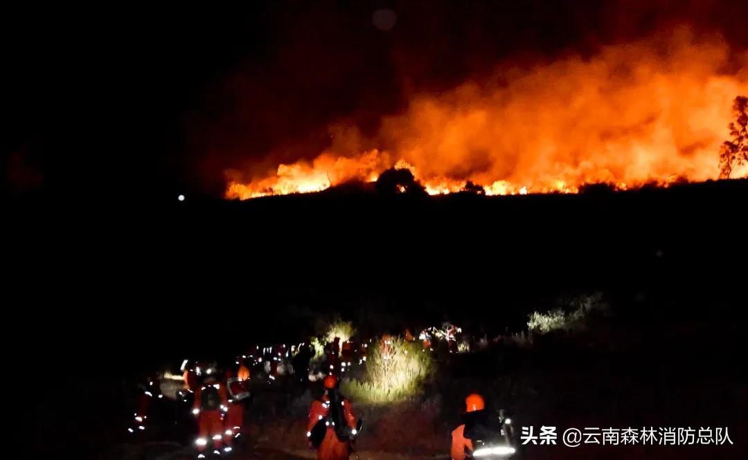 当前防疫工作情况汇报总结