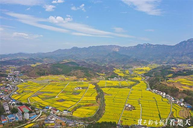 宁静之地的希望与挑战，国内无疫情地区的展望与应对挑战