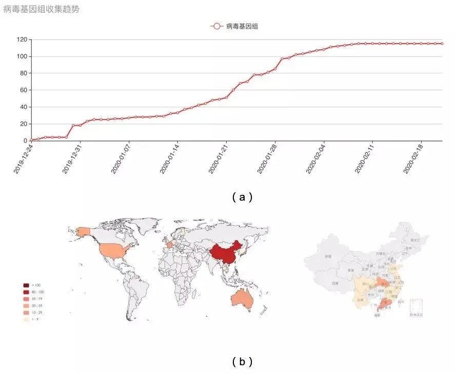 无疫情地区探索与观察研究