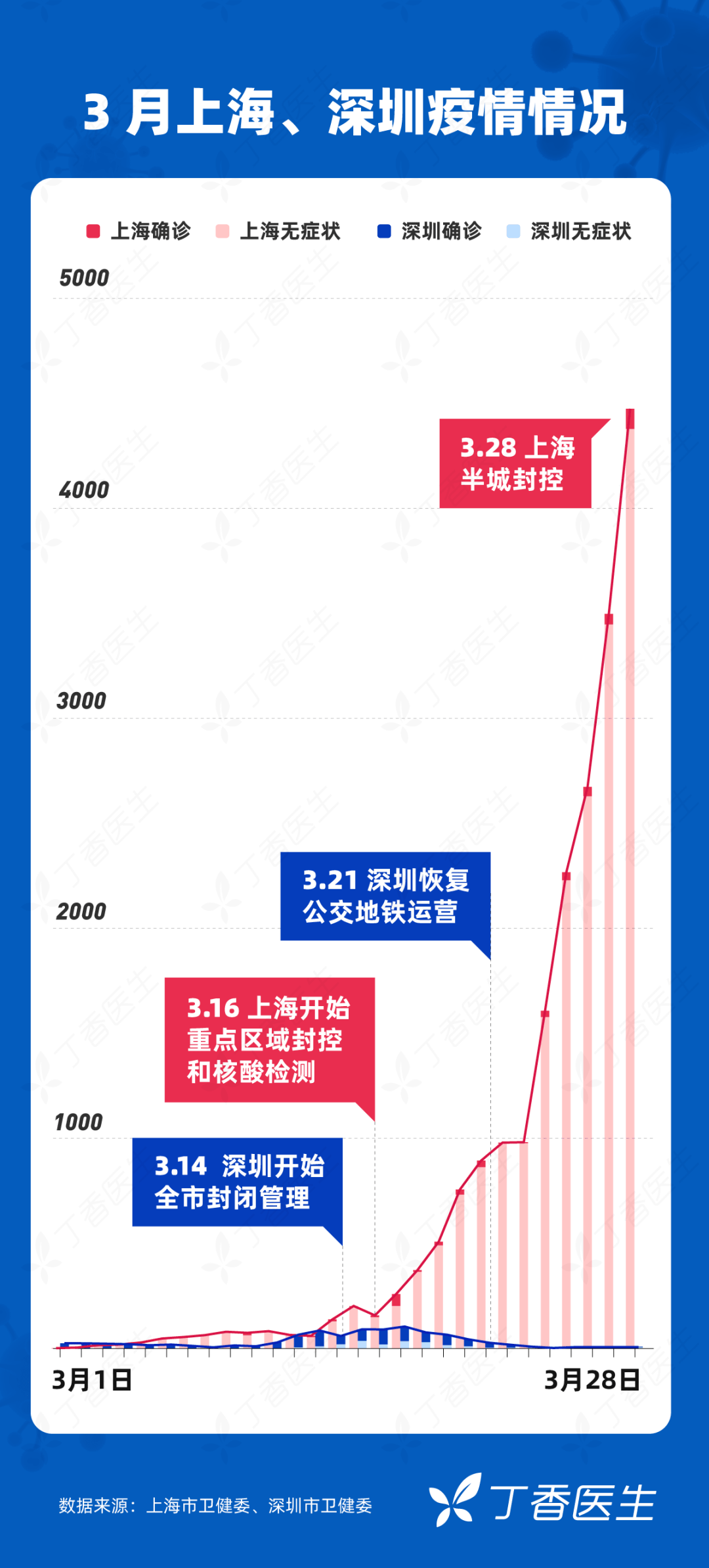 封城城市概览，措施、影响深度分析