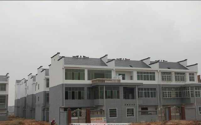 疫情封城城市的挑战与应对策略