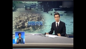 近期封城消息最新解读与解析