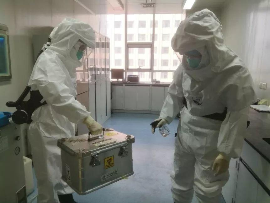 各地疫情数据报告解读指南