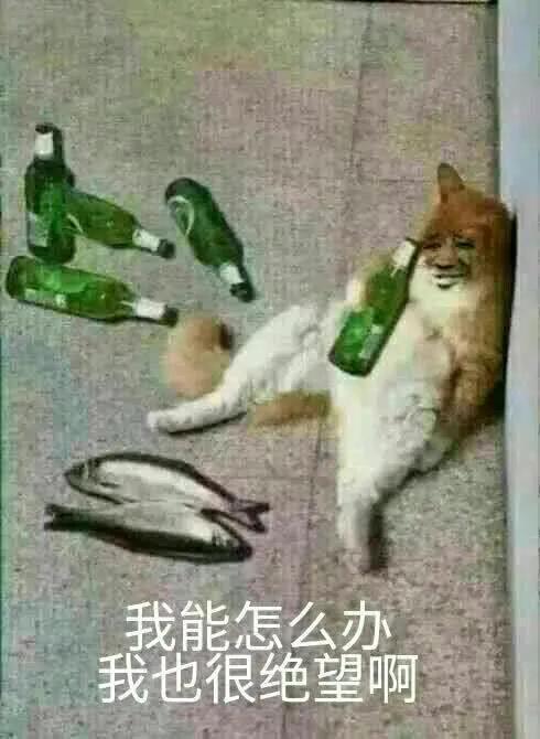 详解，如何查询各地疫情状况的步骤与方法
