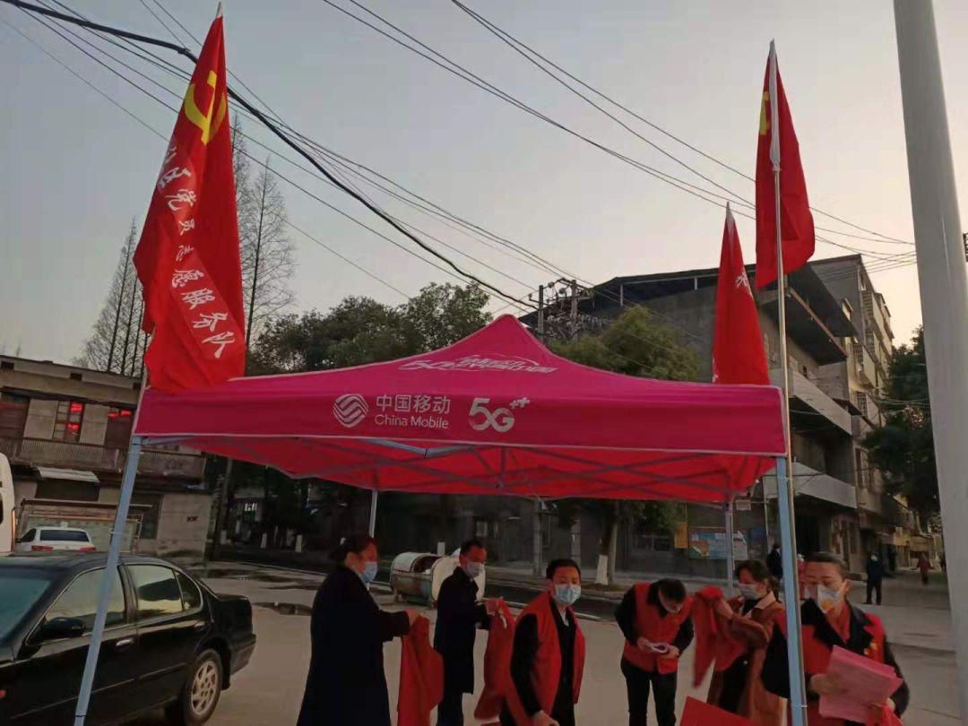 疫情规定探索，各地疫情信息查找与解读指南