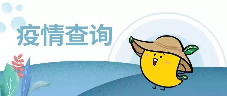 疫情状况查询指南，方法与步骤详解