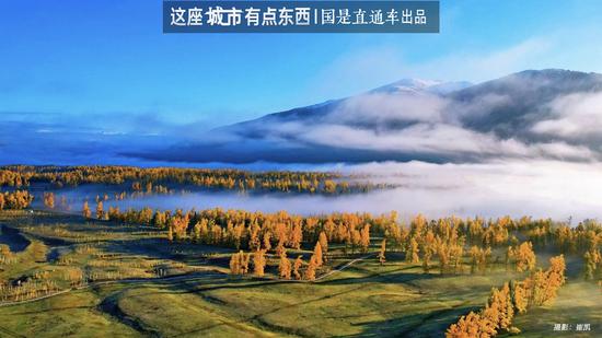 探索无疫城市，宁静祥和之角的发现之旅