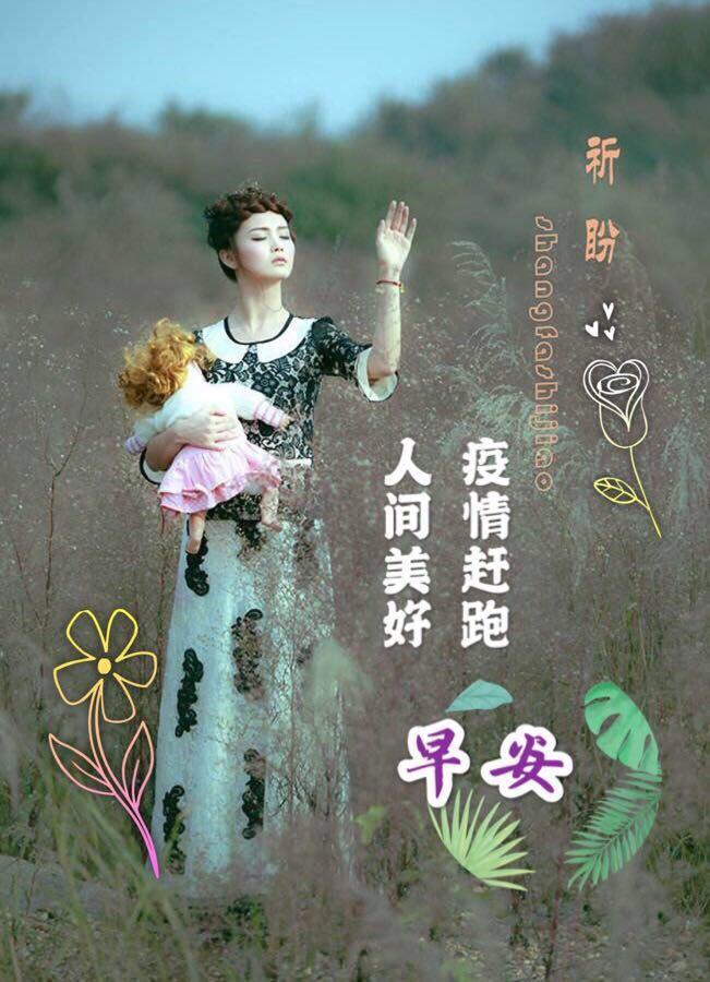 地方疫情防控政策查询指南，获取最新最准确信息的途径
