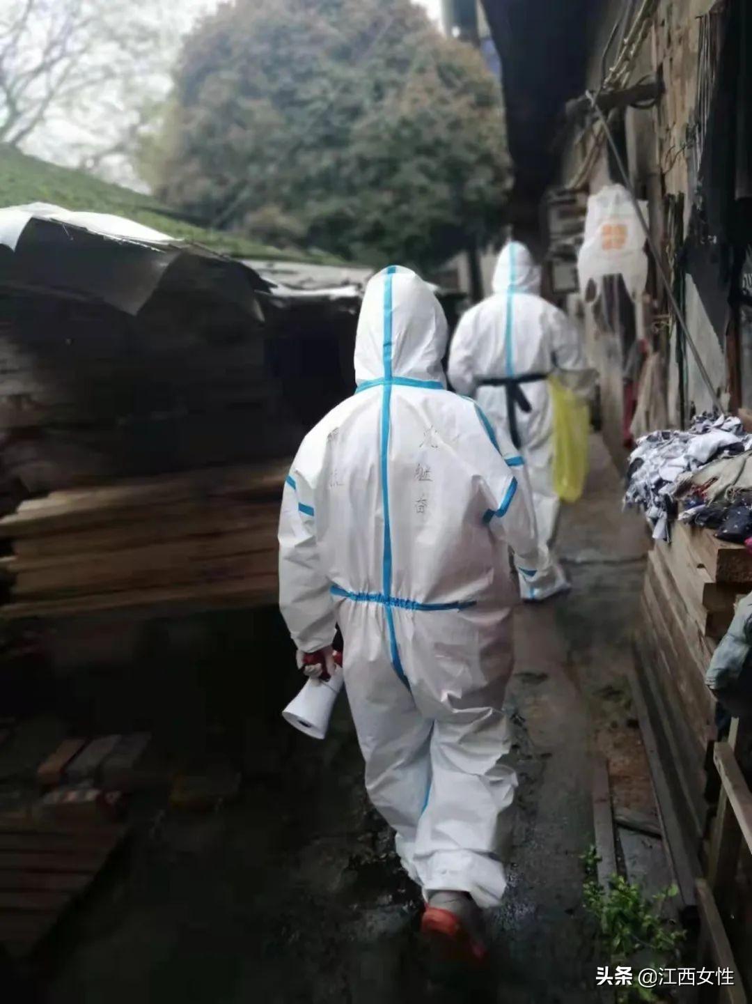 探索无疫之地，寻觅宁静之所