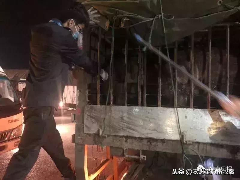新时代防疫新政解析，各地防疫动态与策略探索