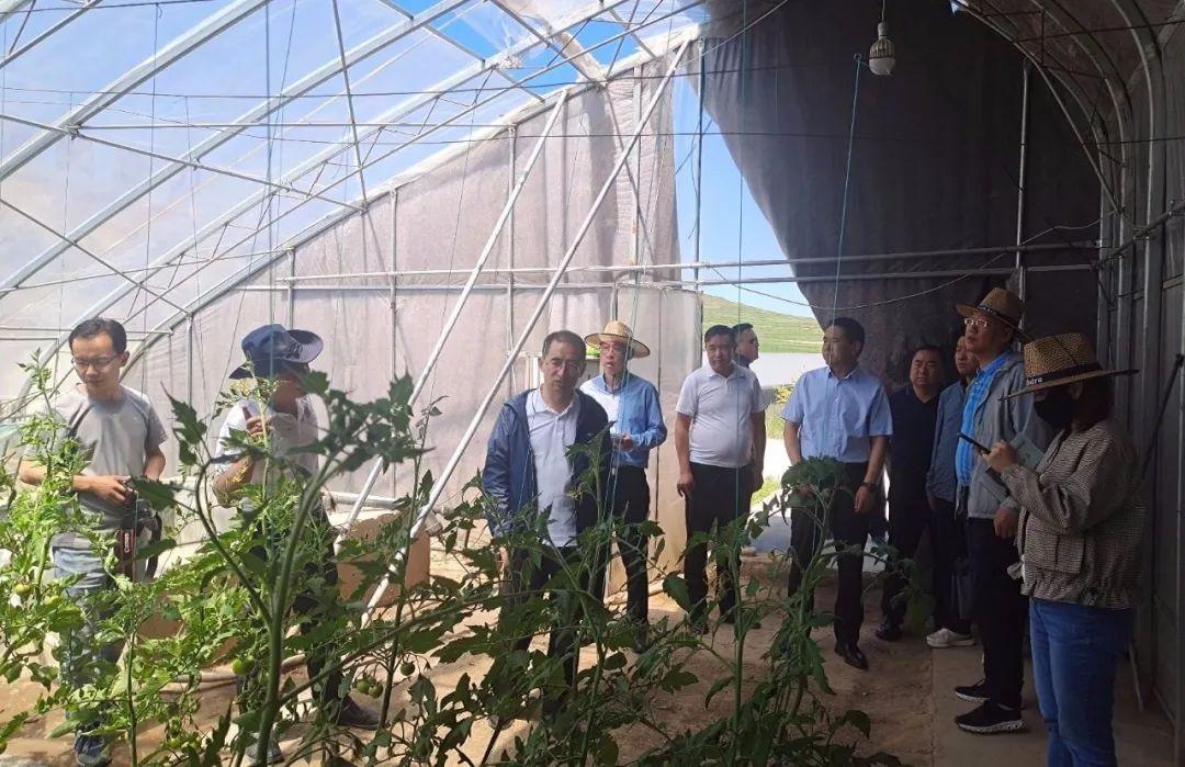 当地防控政策查询指南，步骤与策略详解