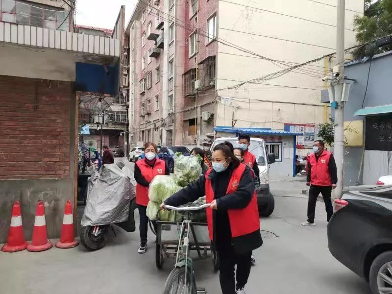 查询防控政策电话，便捷获取防疫信息的途径