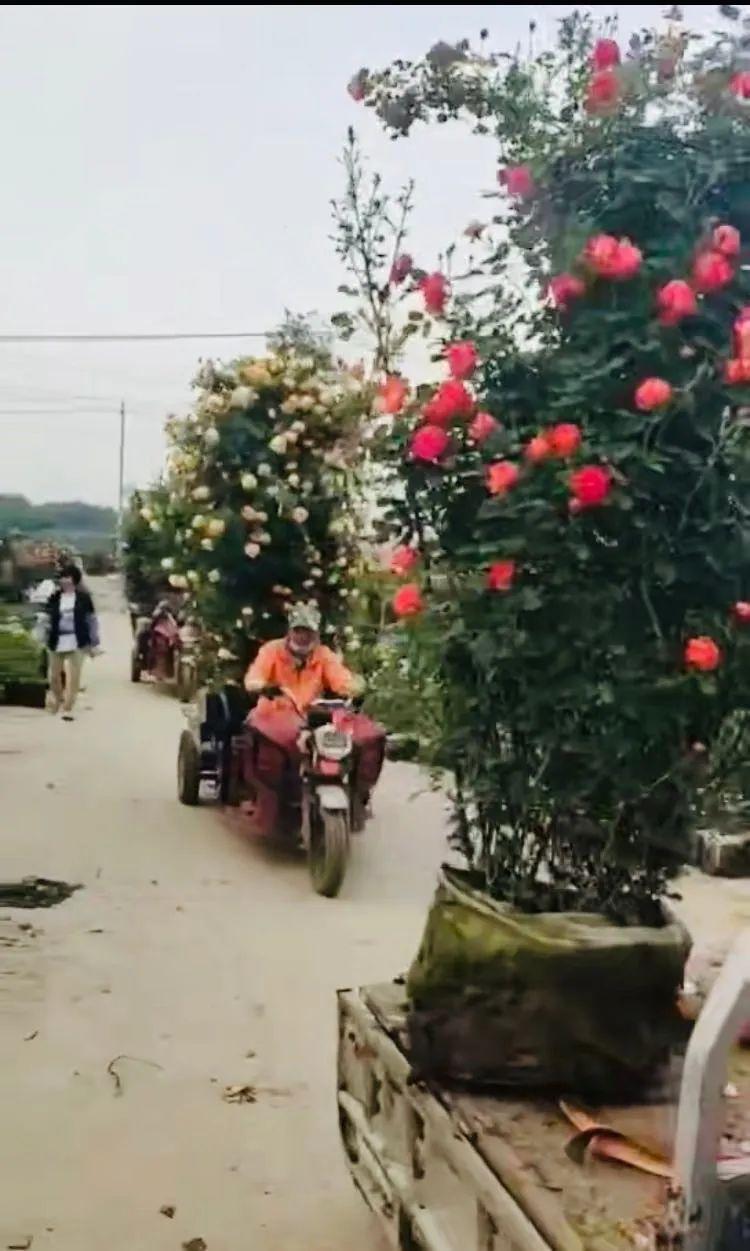 当前环境下无疫情地区的正常发货可行性探讨