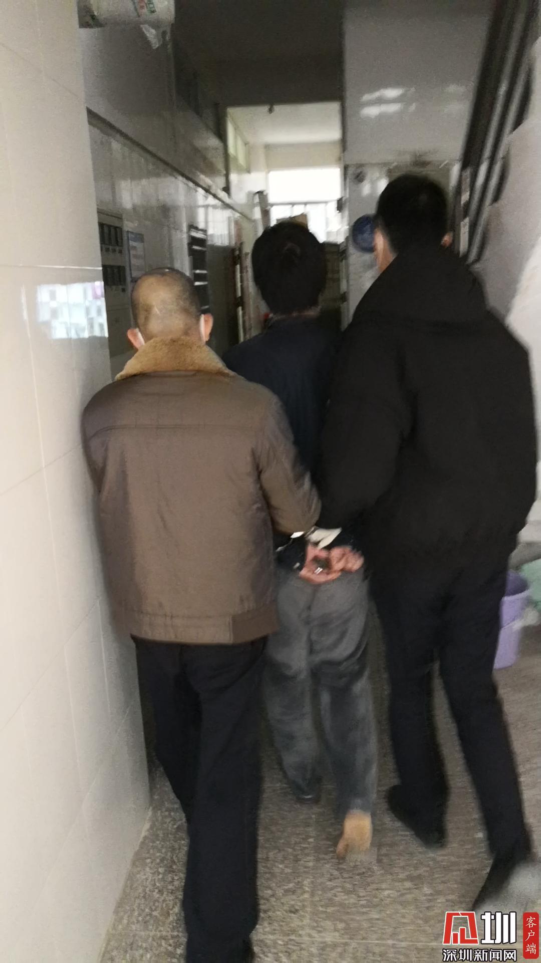 疫情之下卖家面临的发货困境与挑战
