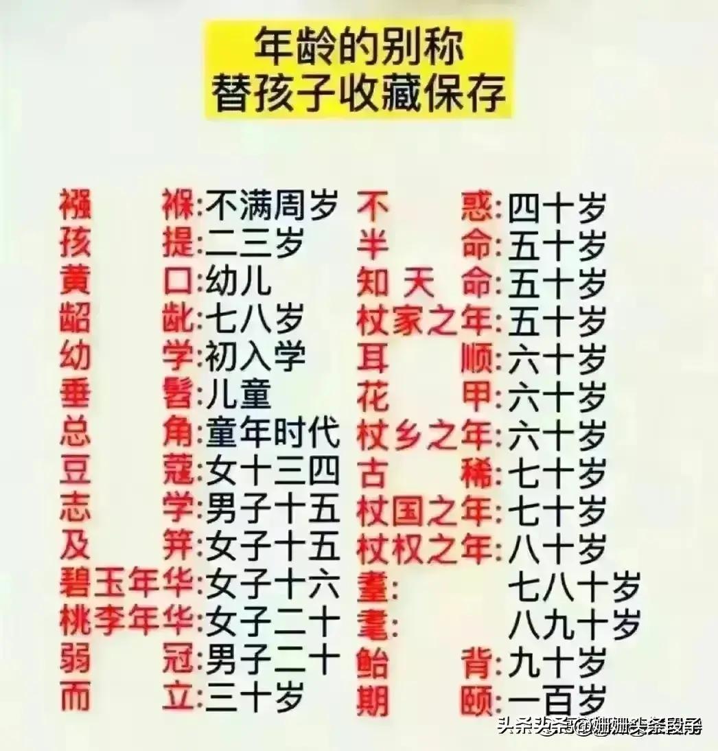 区域是指哪个省还是市，对地理区域划分的深度解析