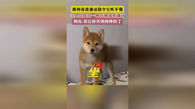 德善其实听懂了狗焕的表白