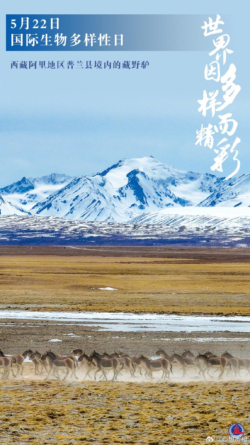 中国地域多样性揭秘，典型地区特色一览