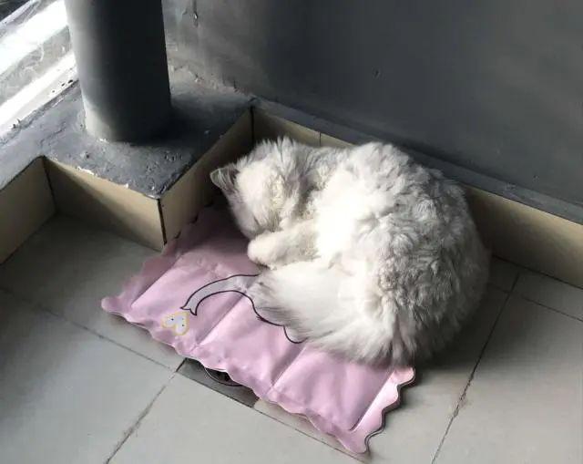 正焕家房子的原主人之谜