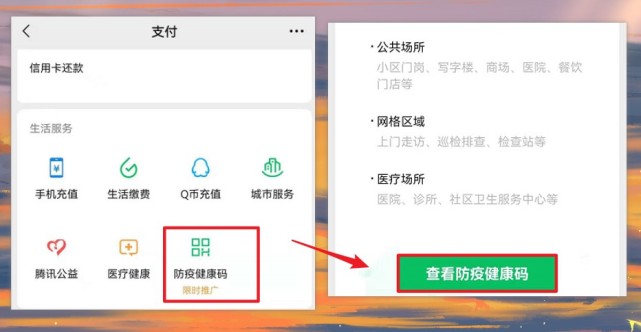 健康码查询未显示，原因、影响及解决方案