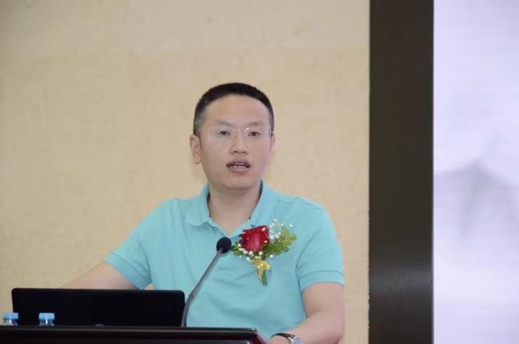地方，多维度概念深度解析