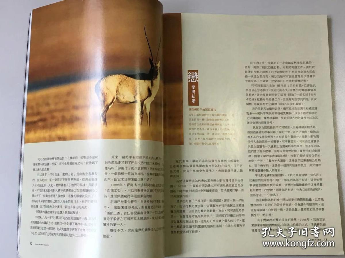 地方的含义与重要性解读，地域文化的独特魅力与特色标签