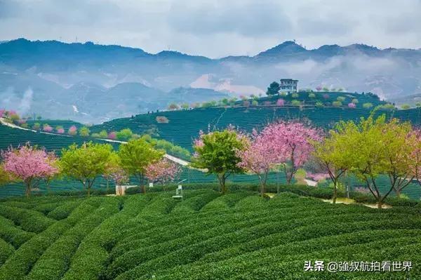 地方的多重含义与英语表达解读