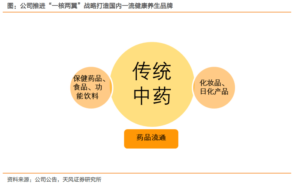 地方的多维解读，定义、内涵与意义深度解析