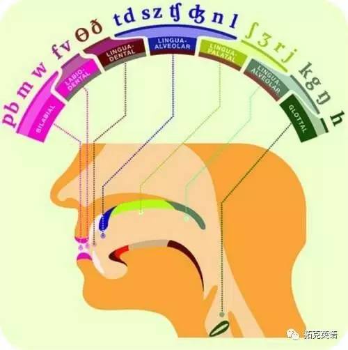 语音与语境的魅力探索之旅，如何正确发音？