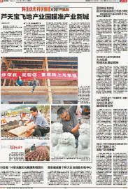 活力繁荣的生机之地，无疫情时代的地域风采