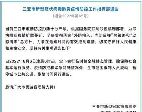 疫情下的封城现象及其社会影响探究