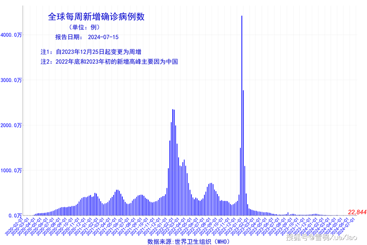 全球疫情最新动态报告，全球疫情趋势分析与数据消息（截至2024年8月）