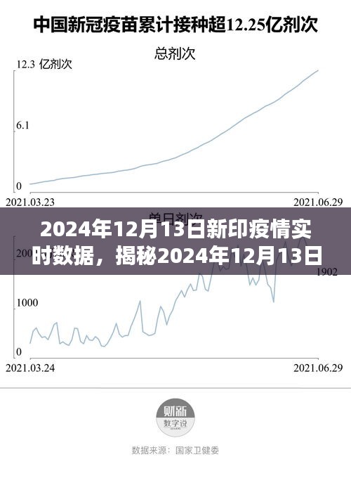 全球疫情最新动态报告，全球疫情趋势分析与数据消息（截至2024年8月）