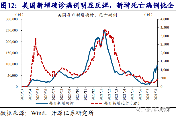 疫情全面开放展望与探讨，未来趋势及展望