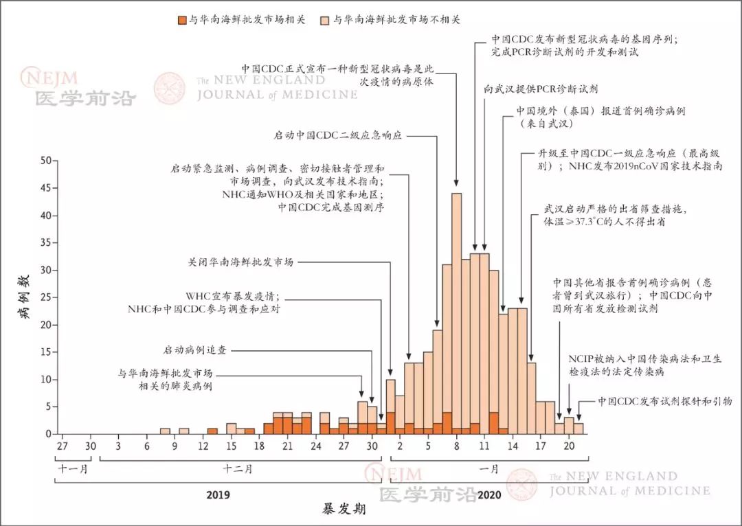 武汉疫情起源揭秘，回顾2019年疫情初始之际