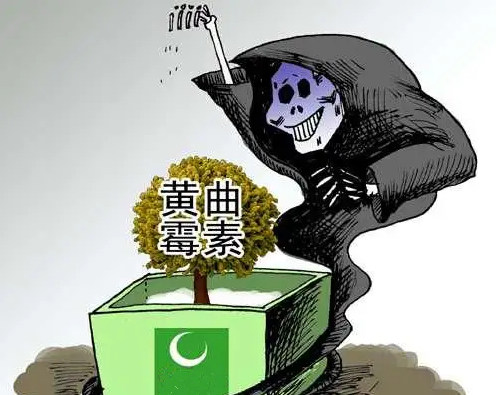 疫情是在哪一年——全球公共卫生危机的起点与影响