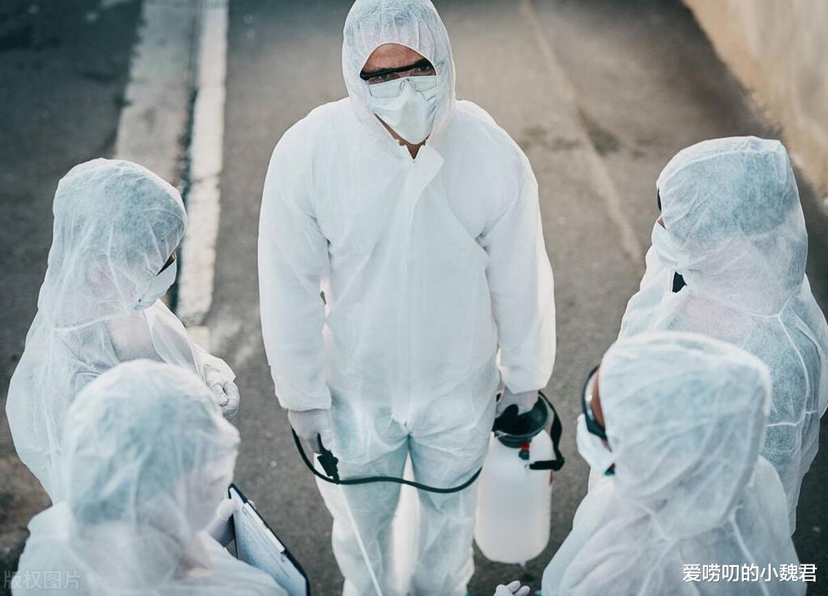 三年疫情，时间的烙印与人类的挑战之路