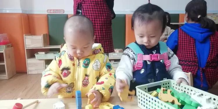 疫情始末，回顾与反思的历程