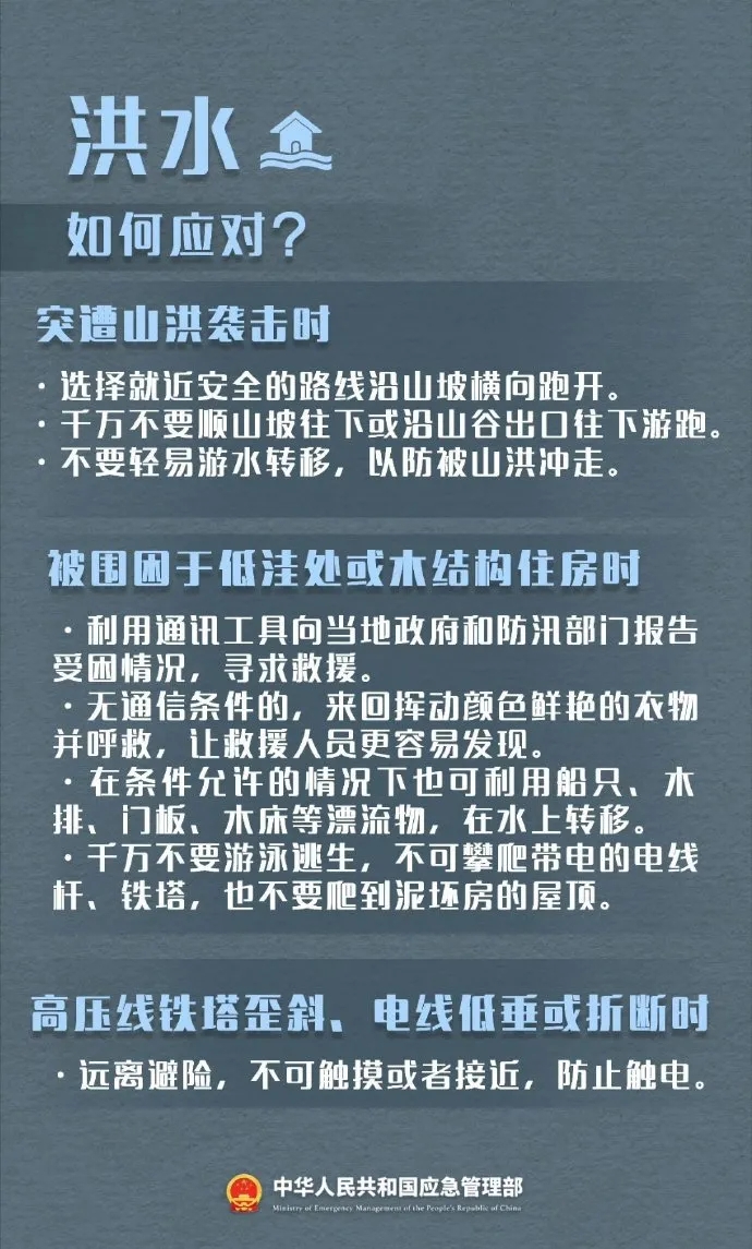 疫情始于哪一年，回顾与反思