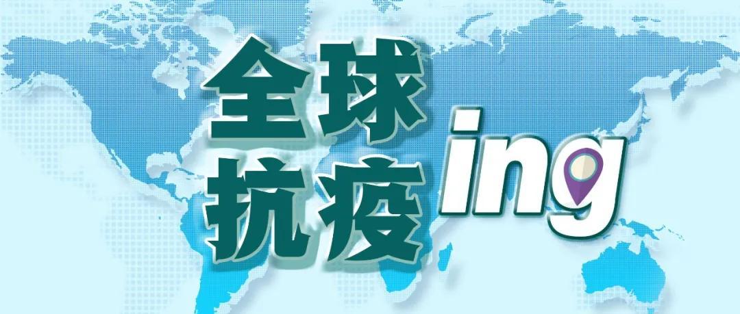 全球疫情最新数据与动态追踪，新途径查询消息与图表