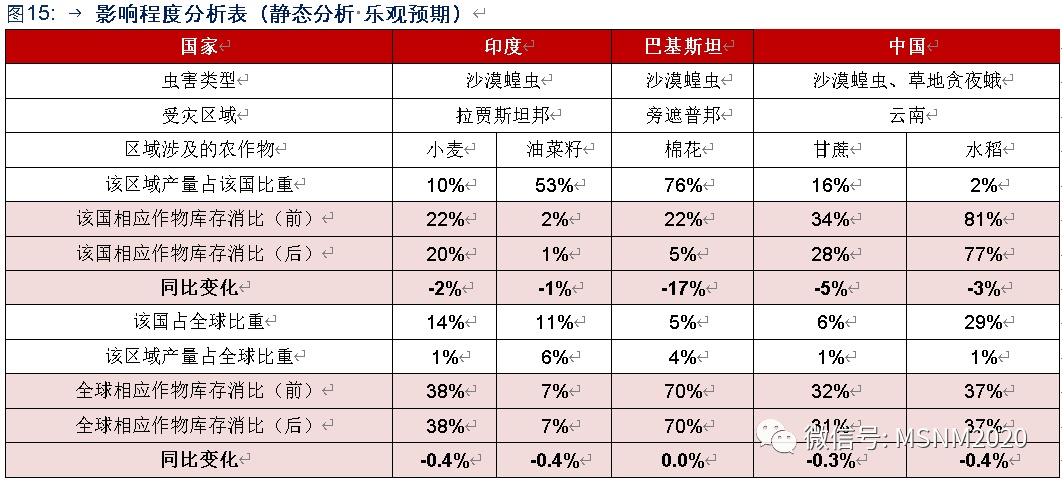 全球疫情最新数据深度解析报告