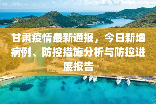 甘肃疫情最新动态，今日新增病例分析及防控措施