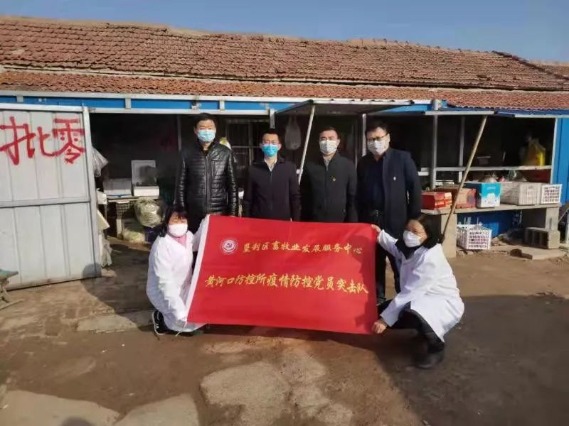 重庆疫情最新动态，城市防控进展与积极应对的最新报道数据