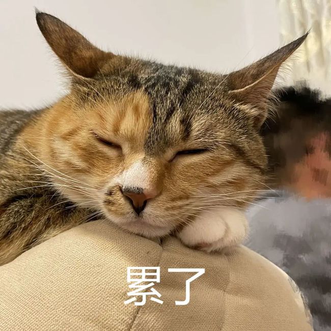 贵州省疫情最新情况通报，最新数据与防控动态更新