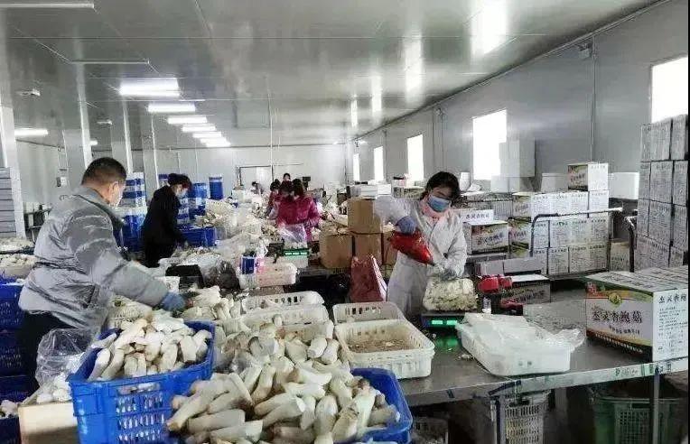 甘肃疫情最新播报数据报告，最新情况分析