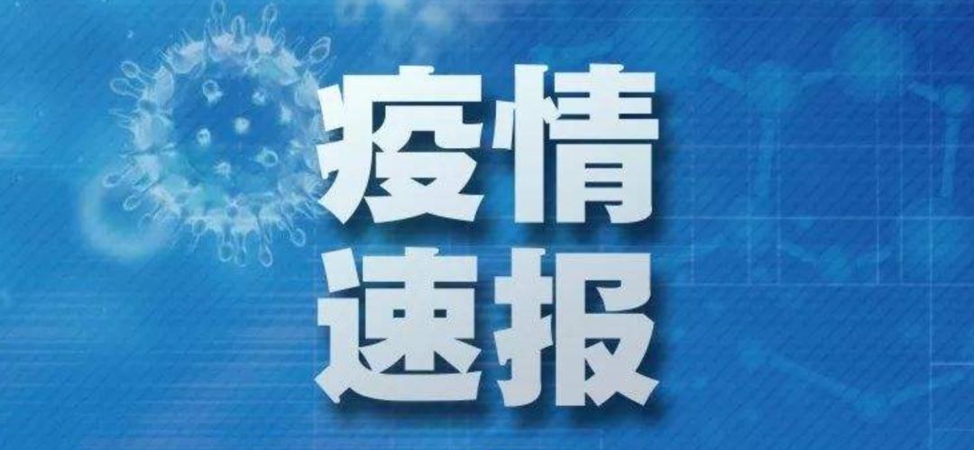 贵州疫情最新动态，新增病例与防控进展实时更新
