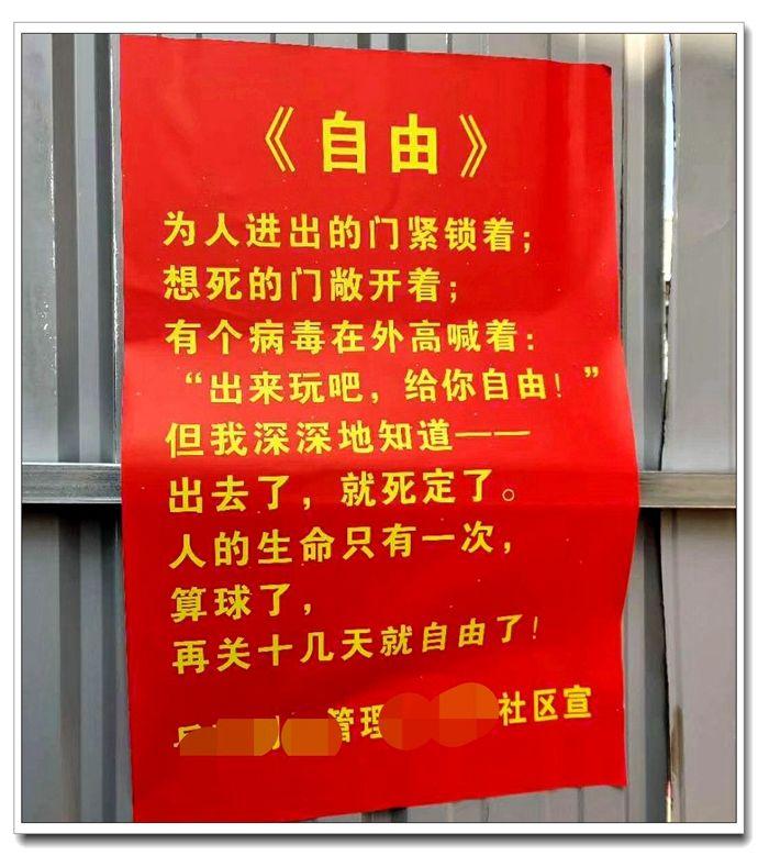全球疫情数据实时更新，新挑战与希望之光的抗疫之路