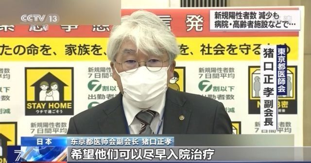 疫情最新动态，数据更新与新增死亡病例分析