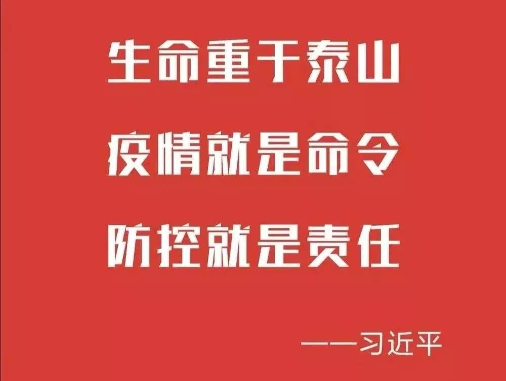 国内疫情防控形势全面解读，最新数据消息与新闻速递