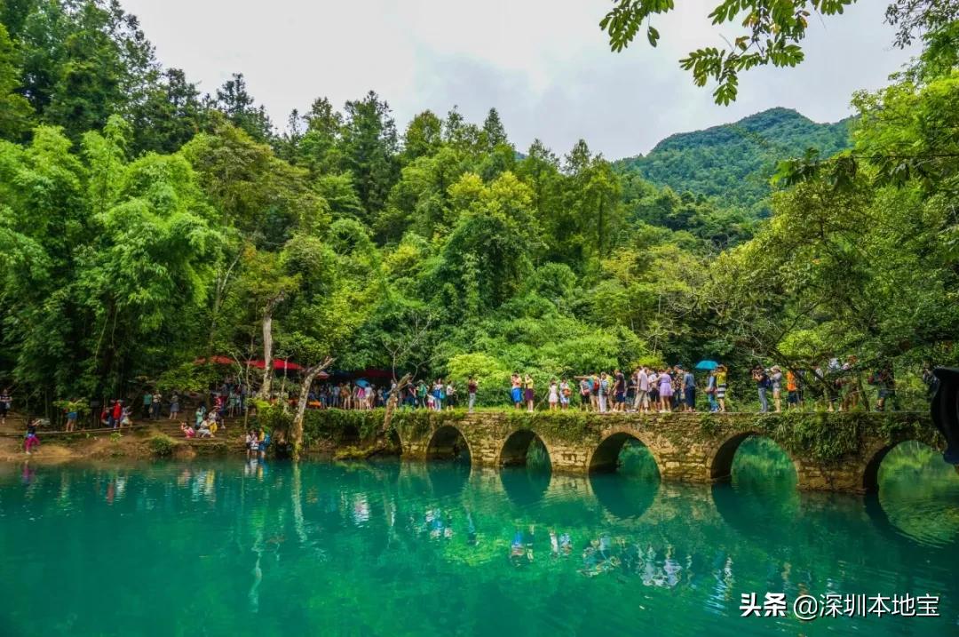 全球疫情最新数据报告，挑战与希望交织的态势分析